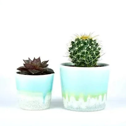 Small Planter Pot - Mint / Blue