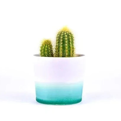 Small Planter Pot - Purple / Turquoise