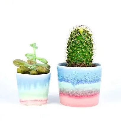 Small Planter Pot - Blue/Mint/Pink